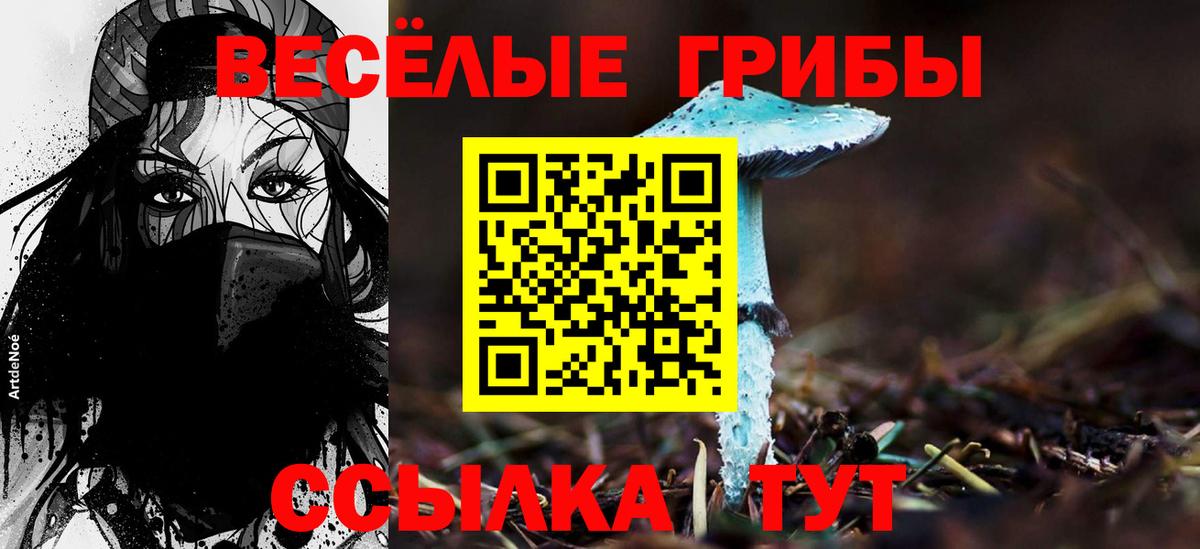 закладка  Вход с VPN  Галлюциногенные грибы Psilocybe  Рязань  Псилоцибиновые грибы ЛСД 
